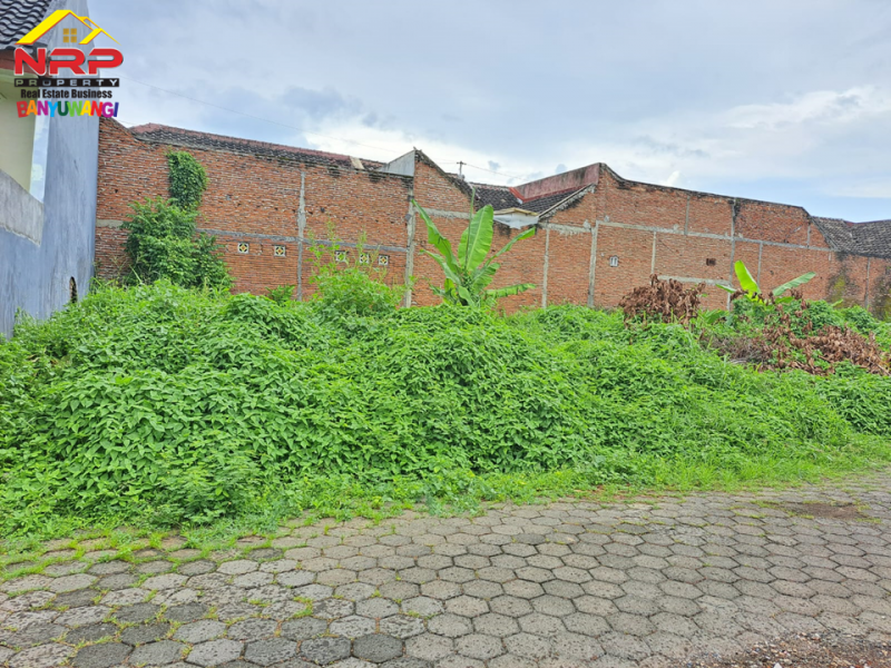 Dijual Tanah Kavling Strategis di Sobo, Banyuwangi  Dijual Tanah Kavling Murah di Sobo Banyuwangi  Dijual Tanah Kavling Strategis di Belakang Santika Hotel Banyuwangi&nbsp;
Berada di Pusat Kota Banyuwangi.Cocok untuk hunian, homestay, dll&nbsp;
Dekat NRP BANYUWANGI