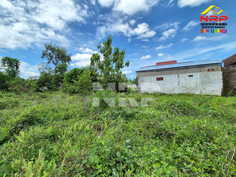 Dijual Tanah Kavling Strategis di tepi Jl. Watukebo - Banyuwangi  Dijual Tanah Kavling Strategis di tepi Jl. Watukebo - Banyuwangi  Dijual Tanah Kavling Strategis di tepi Jl. Watukebo - Banyuwangi&nbsp;
Tepi Jalan Lintas Selatan Banyuwangi.&nbsp;
Sangat Cocok hunian dll&nbsp;

Luas NRP BANYUWANGI