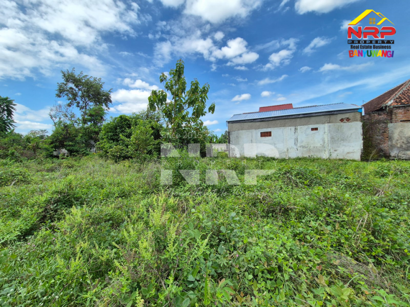Dijual Tanah Kavling Strategis di tepi Jl. Watukebo - Banyuwangi  Dijual Tanah Kavling Strategis di tepi Jl. Watukebo - Banyuwangi  Dijual Tanah Kavling Strategis di tepi Jl. Watukebo - Banyuwangi&nbsp;
Tepi Jalan Lintas Selatan Banyuwangi.&nbsp;
Sangat Cocok hunian dll&nbsp;

Luas NRP BANYUWANGI