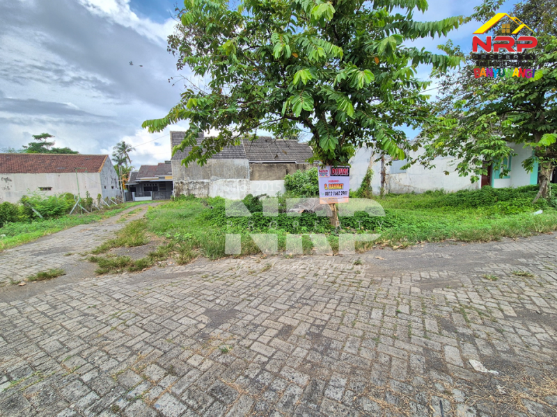 Dijual Tanah Kavling Strategis Pusat Kota Banyuwangi Akses  di Jl. Kepiting  - Banyuwangi  Dijual tanah hook murah di Banyuwangi Kota  Dijual Tanah Kavling Strategis Pusat Kota Banyuwangi Akses&nbsp; di Jl. Kepiting&nbsp; - Banyuwangi&nbsp;
Berada di kawasan perumahan yang aman, nyaman, akses NRP BANYUWANGI