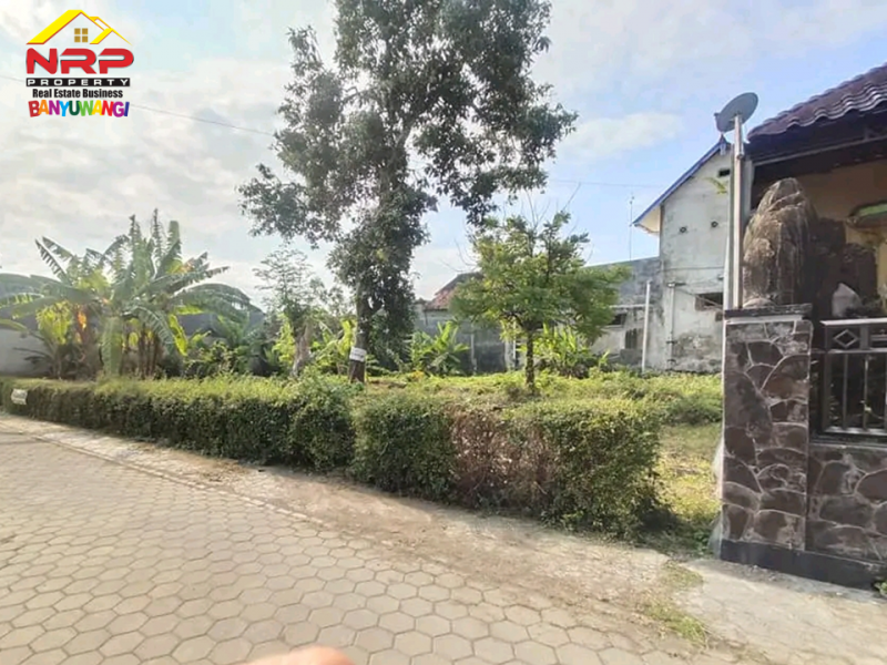 Dijual Tanah Murah di Belakang SMAN 1 Banyuwangi, Kertosari Banyuwangi  Dijual Tanah Murah di Belakang SMAN 1 Banyuwangi, Kertosari Banyuwangi  Dijual Tanah Kavling Strategis Siap Bangun di Belakang SMAN 1 BANYUWANGI&nbsp;
Lokasi Padat Penduduk, Cocok untuk rumah kos, homestay ataupun tempat NRP BANYUWANGI