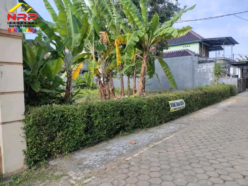 Dijual Tanah Murah di Belakang SMAN 1 Banyuwangi, Kertosari Banyuwangi  Dijual Tanah Murah di Belakang SMAN 1 Banyuwangi, Kertosari Banyuwangi  Dijual Tanah Kavling Strategis Siap Bangun di Belakang SMAN 1 BANYUWANGI&nbsp;
Lokasi Padat Penduduk, Cocok untuk rumah kos, homestay ataupun tempat NRP BANYUWANGI