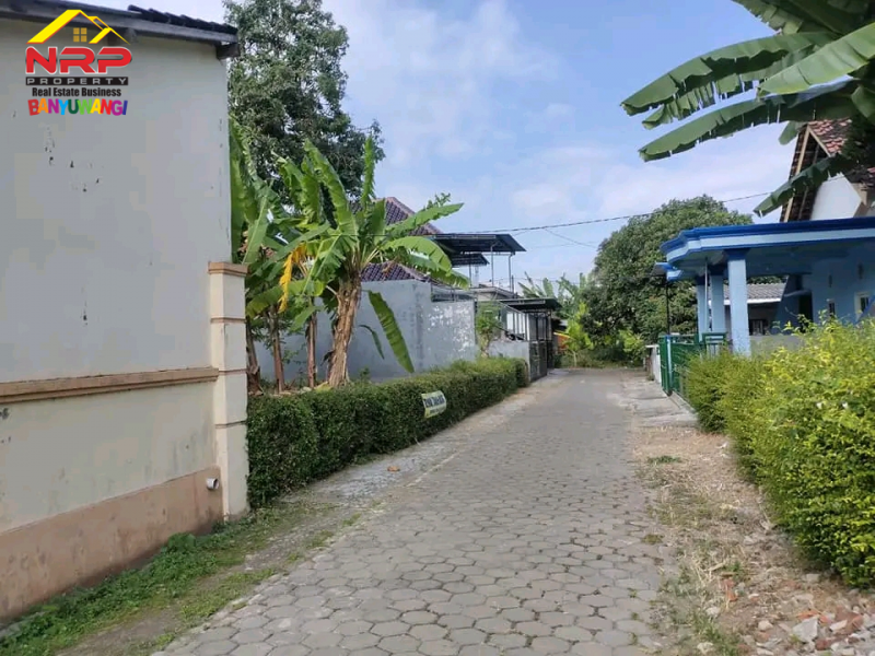 Dijual Tanah Murah di Belakang SMAN 1 Banyuwangi, Kertosari Banyuwangi  Dijual Tanah Murah di Belakang SMAN 1 Banyuwangi, Kertosari Banyuwangi  Dijual Tanah Kavling Strategis Siap Bangun di Belakang SMAN 1 BANYUWANGI&nbsp;
Lokasi Padat Penduduk, Cocok untuk rumah kos, homestay ataupun tempat NRP BANYUWANGI