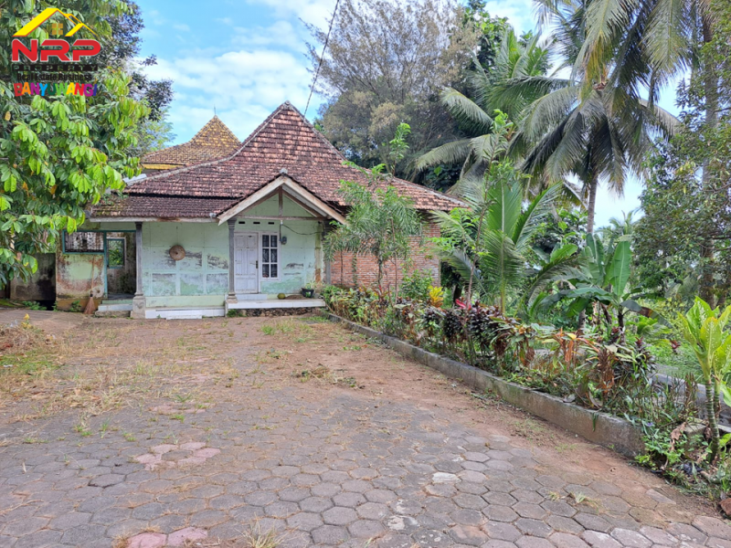 Dijual Tanah Kebun Bonus Bangunan di Tepi Jl. Desa Grogol Banyuwangi  Dijual Tanah Kebun Bonus Bangunan di Tepi Jl. Desa Grogol Banyuwangi  Dijual Tanah Kebun Bonus Bangunan di Tepi Jl. Desa Grogol Banyuwangi
Bersebelahan dengan Ex. Gedung Ajib Banyuwangi , View Selat Bali
Cocok untuk Villa, NRP BANYUWANGI