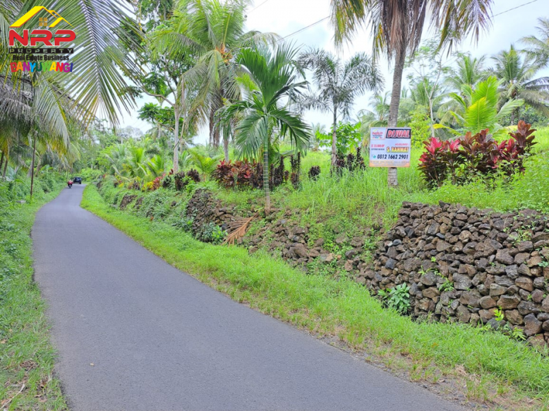 Dijual Tanah Kebun Bonus Bangunan di Tepi Jl. Desa Grogol Banyuwangi  Dijual Tanah Kebun Bonus Bangunan di Tepi Jl. Desa Grogol Banyuwangi  Dijual Tanah Kebun Bonus Bangunan di Tepi Jl. Desa Grogol Banyuwangi
Bersebelahan dengan Ex. Gedung Ajib Banyuwangi , View Selat Bali
Cocok untuk Villa, NRP BANYUWANGI