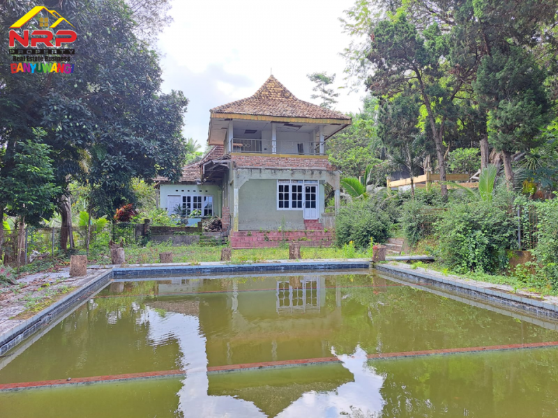 Dijual Tanah Kebun Bonus Bangunan di Tepi Jl. Desa Grogol Banyuwangi  Dijual Tanah Kebun Bonus Bangunan di Tepi Jl. Desa Grogol Banyuwangi  Dijual Tanah Kebun Bonus Bangunan di Tepi Jl. Desa Grogol Banyuwangi
Bersebelahan dengan Ex. Gedung Ajib Banyuwangi , View Selat Bali
Cocok untuk Villa, NRP BANYUWANGI