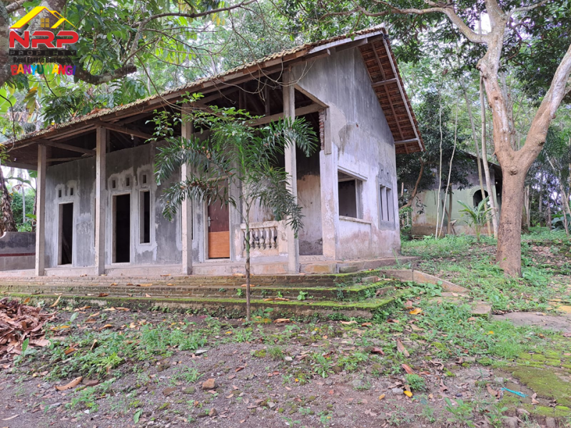 Dijual Tanah Kebun Bonus Bangunan di Tepi Jl. Desa Grogol Banyuwangi  Dijual Tanah Kebun Bonus Bangunan di Tepi Jl. Desa Grogol Banyuwangi  Dijual Tanah Kebun Bonus Bangunan di Tepi Jl. Desa Grogol Banyuwangi
Bersebelahan dengan Ex. Gedung Ajib Banyuwangi , View Selat Bali
Cocok untuk Villa, NRP BANYUWANGI