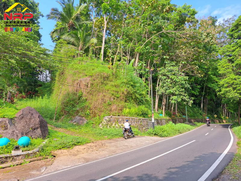 Dijual Tanah Kebun dan Sawah Strategis di Tepi Jl. Raya Litjen Banyuwangi.  Dijual Tanah Kebun dan Sawah Strategis di Tepi Jl. Raya Litjen Banyuwangi.  Dijual Tanah Kebun dan Sawah Strategis di Tepi Jl. Raya Litjen Banyuwangi.
Akses Utama menuju Destinasi Wisata Kawah Ijen
Cocok untuk Resto, Villa, NRP BANYUWANGI