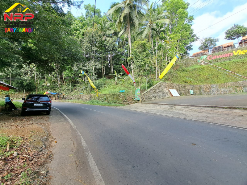 Dijual Tanah Kebun dan Sawah Strategis di Tepi Jl. Raya Litjen Banyuwangi.  Dijual Tanah Kebun dan Sawah Strategis di Tepi Jl. Raya Litjen Banyuwangi.  Dijual Tanah Kebun dan Sawah Strategis di Tepi Jl. Raya Litjen Banyuwangi.
Akses Utama menuju Destinasi Wisata Kawah Ijen
Cocok untuk Resto, Villa, NRP BANYUWANGI