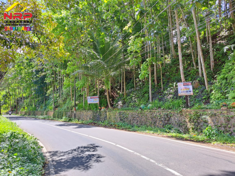 Dijual Tanah Kebun dan Sawah Strategis di Tepi Jl. Raya Litjen Banyuwangi.  Dijual Tanah Kebun dan Sawah Strategis di Tepi Jl. Raya Litjen Banyuwangi.  Dijual Tanah Kebun dan Sawah Strategis di Tepi Jl. Raya Litjen Banyuwangi.
Akses Utama menuju Destinasi Wisata Kawah Ijen
Cocok untuk Resto, Villa, NRP BANYUWANGI