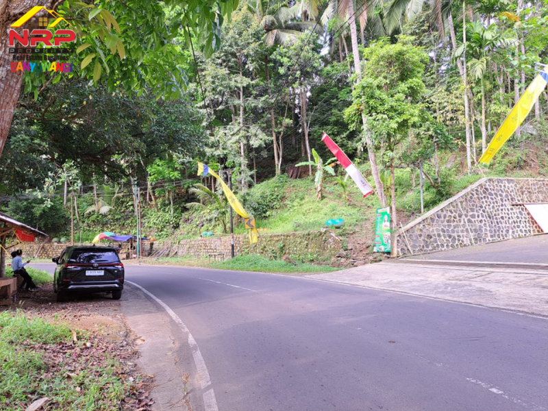 Dijual Tanah Kebun dan Sawah Strategis di Tepi Jl. Raya Litjen Banyuwangi.  Dijual Tanah Kebun dan Sawah Strategis di Tepi Jl. Raya Litjen Banyuwangi.  Dijual Tanah Kebun dan Sawah Strategis di Tepi Jl. Raya Litjen Banyuwangi.
Akses Utama menuju Destinasi Wisata Kawah Ijen
Cocok untuk Resto, Villa, NRP BANYUWANGI