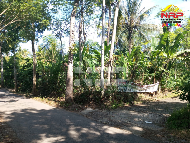 Dijual Tanah Kebun di Dekat Kantor Satpas Polresta Banyuwangi  Dijual Tanah Kebun di Dekat Kantor Satpas Polresta Banyuwangi  Dijual Tanah Kebun di Dekat Kantor Satpas Polresta Banyuwangi&nbsp;
Akses Jln Aspal, Posisi Hook , 700 meter dari Kantor Lurah Sumberejo&nbsp;

Luas Tanah NRP BANYUWANGI