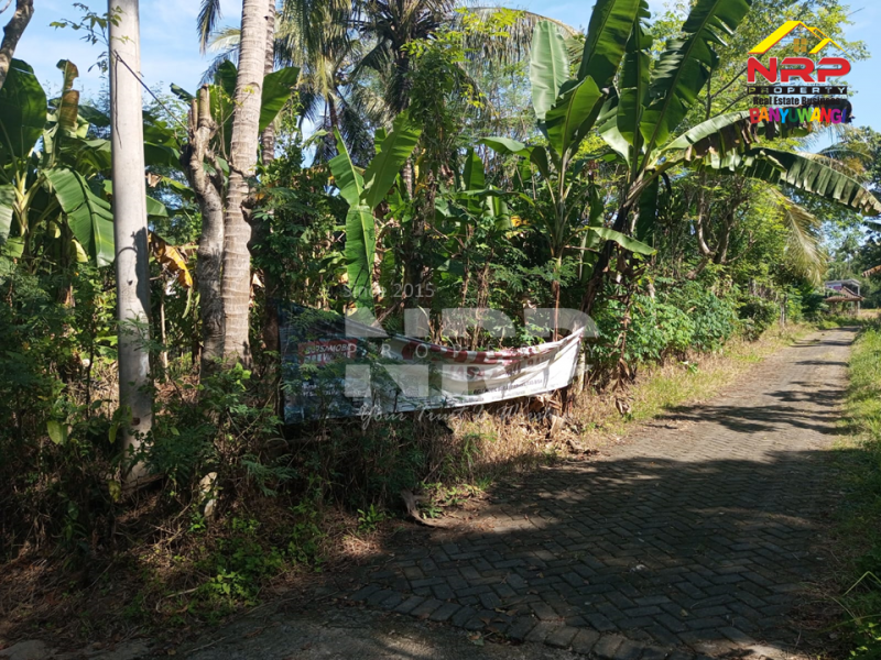 Dijual Tanah Kebun di Dekat Kantor Satpas Polresta Banyuwangi  Dijual Tanah Kebun di Dekat Kantor Satpas Polresta Banyuwangi  Dijual Tanah Kebun di Dekat Kantor Satpas Polresta Banyuwangi&nbsp;
Akses Jln Aspal, Posisi Hook , 700 meter dari Kantor Lurah Sumberejo&nbsp;

Luas Tanah NRP BANYUWANGI