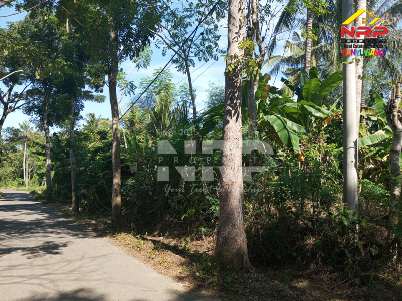 Dijual Tanah Kebun di Dekat Kantor Satpas Polresta Banyuwangi  Dijual Tanah Kebun di Dekat Kantor Satpas Polresta Banyuwangi  Dijual Tanah Kebun di Dekat Kantor Satpas Polresta Banyuwangi&nbsp;
Akses Jln Aspal, Posisi Hook , 700 meter dari Kantor Lurah Sumberejo&nbsp;

Luas Tanah NRP BANYUWANGI