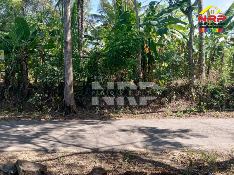 Dijual Tanah Kebun di Dekat Kantor Satpas Polresta Banyuwangi  Dijual Tanah Kebun di Dekat Kantor Satpas Polresta Banyuwangi  Dijual Tanah Kebun di Dekat Kantor Satpas Polresta Banyuwangi&nbsp;
Akses Jln Aspal, Posisi Hook , 700 meter dari Kantor Lurah Sumberejo&nbsp;

Luas Tanah NRP BANYUWANGI