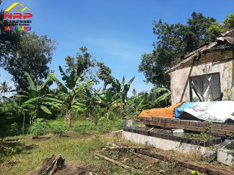 Dijual Tanah Kebun di Desa. Watubuncul, Giri - Banyuwangi  Dijual Tanah Kebun di Desa. Watubuncul, Giri - Banyuwangi  Dijual Tanah Kebun di Desa. Watubuncul, Giri - Banyuwangi&nbsp;
Lokasi berada dekat dengan Fasilitas Pendidikan ( SMAN 1 Giri, SMAN 1 Glagah, SMKN 1 NRP BANYUWANGI