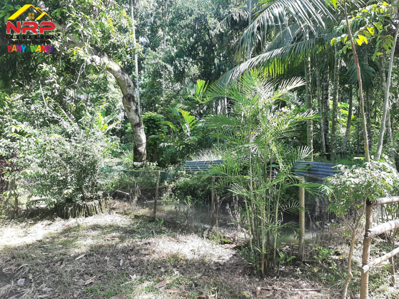 Dijual Tanah Kebun di Desa. Watubuncul, Giri - Banyuwangi  Dijual Tanah Kebun di Desa. Watubuncul, Giri - Banyuwangi  Dijual Tanah Kebun di Desa. Watubuncul, Giri - Banyuwangi&nbsp;
Lokasi berada dekat dengan Fasilitas Pendidikan ( SMAN 1 Giri, SMAN 1 Glagah, SMKN 1 NRP BANYUWANGI