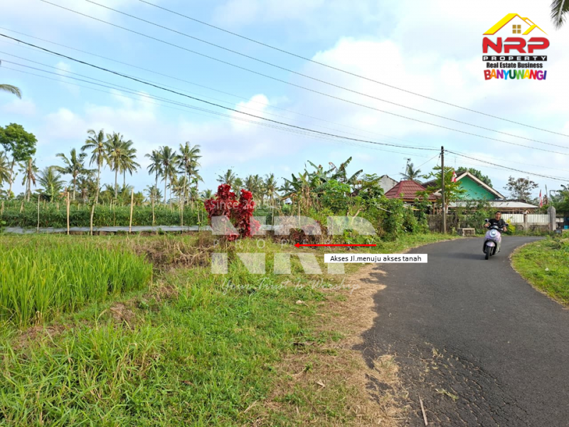 DiJUAL Tanah Kebun di Jelun -  Glagah Banyuwangi DiJUAL Tanah Kebun di Jelun -  Glagah Banyuwangi DiJUAL Tanah Kebun di Jelun -&nbsp; Glagah Banyuwangi
Pemandangan hijau bertingkat, potensi tinggi untuk pertanian & investasi.
Akses mudah, Lokasi NRP BANYUWANGI