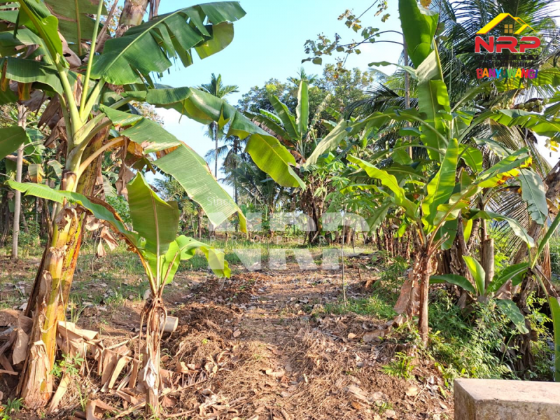 DiJUAL Tanah Kebun di Jelun -  Glagah Banyuwangi DiJUAL Tanah Kebun di Jelun -  Glagah Banyuwangi DiJUAL Tanah Kebun di Jelun -&nbsp; Glagah Banyuwangi
Pemandangan hijau bertingkat, potensi tinggi untuk pertanian & investasi.
Akses mudah, Lokasi NRP BANYUWANGI