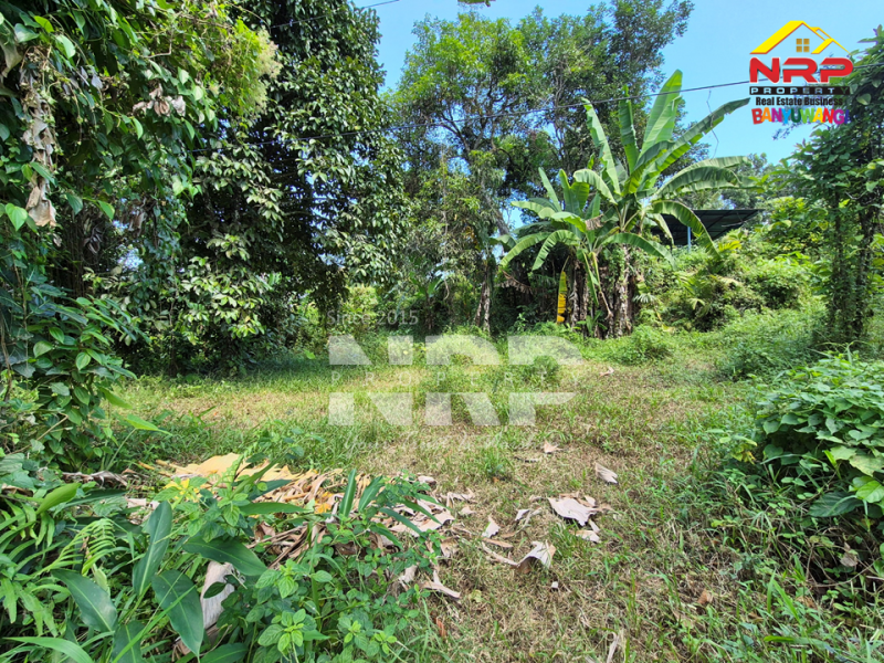 Dijual Tanah Kebun di Jln Raya Ijen - Glagah, Banyuwangi  Dijual Tanah Kebun di Jln Raya Ijen - Glagah, Banyuwangi  Dijual Tanah Kebun di Jln Raya Ijen - Glagah, Banyuwangi&nbsp;
Akses mudah Cocok untuk Usaha Perkebunan, Villa, Homestay.

LT : +/- 10.940 NRP BANYUWANGI