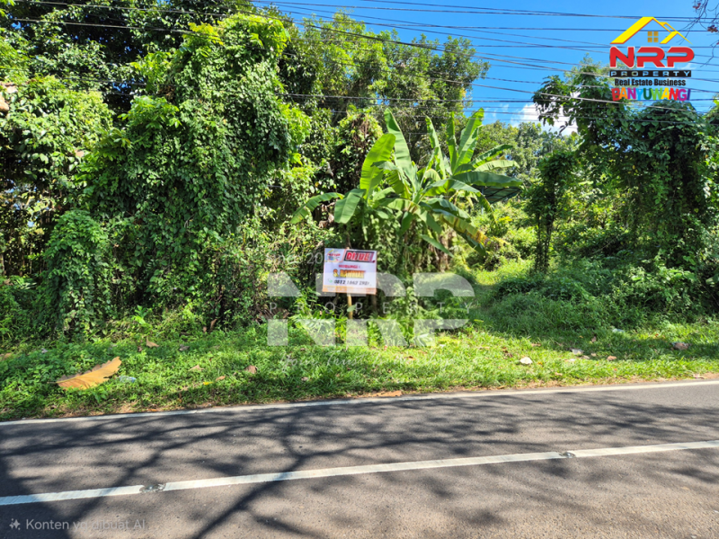 Dijual Tanah Kebun di Jln Raya Ijen - Glagah, Banyuwangi  Dijual Tanah Kebun di Jln Raya Ijen - Glagah, Banyuwangi  Dijual Tanah Kebun di Jln Raya Ijen - Glagah, Banyuwangi&nbsp;
Akses mudah Cocok untuk Usaha Perkebunan, Villa, Homestay.

LT : +/- 10.940 NRP BANYUWANGI