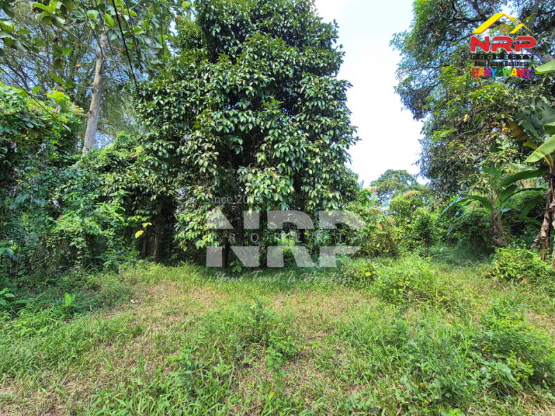 Dijual Tanah Kebun di Jln Raya Ijen - Glagah, Banyuwangi  Dijual Tanah Kebun di Jln Raya Ijen - Glagah, Banyuwangi  Dijual Tanah Kebun di Jln Raya Ijen - Glagah, Banyuwangi&nbsp;
Akses mudah Cocok untuk Usaha Perkebunan, Villa, Homestay.

LT : +/- 10.940 NRP BANYUWANGI