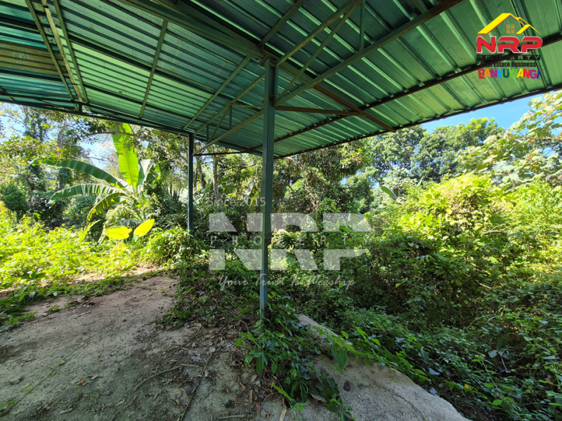 Dijual Tanah Kebun di Jln Raya Ijen - Glagah, Banyuwangi  Dijual Tanah Kebun di Jln Raya Ijen - Glagah, Banyuwangi  Dijual Tanah Kebun di Jln Raya Ijen - Glagah, Banyuwangi&nbsp;
Akses mudah Cocok untuk Usaha Perkebunan, Villa, Homestay.

LT : +/- 10.940 NRP BANYUWANGI