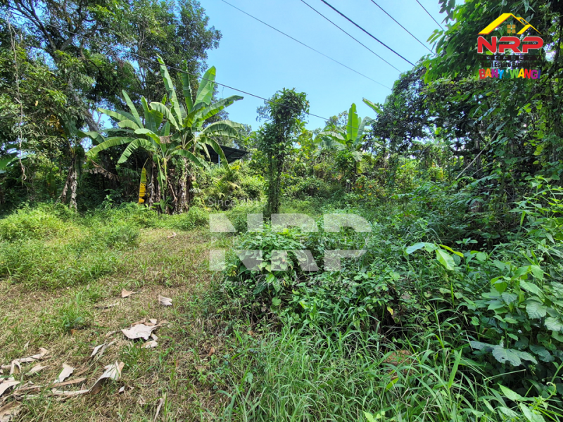 Dijual Tanah Kebun di Jln Raya Ijen - Glagah, Banyuwangi  Dijual Tanah Kebun di Jln Raya Ijen - Glagah, Banyuwangi  Dijual Tanah Kebun di Jln Raya Ijen - Glagah, Banyuwangi&nbsp;
Akses mudah Cocok untuk Usaha Perkebunan, Villa, Homestay.

LT : +/- 10.940 NRP BANYUWANGI