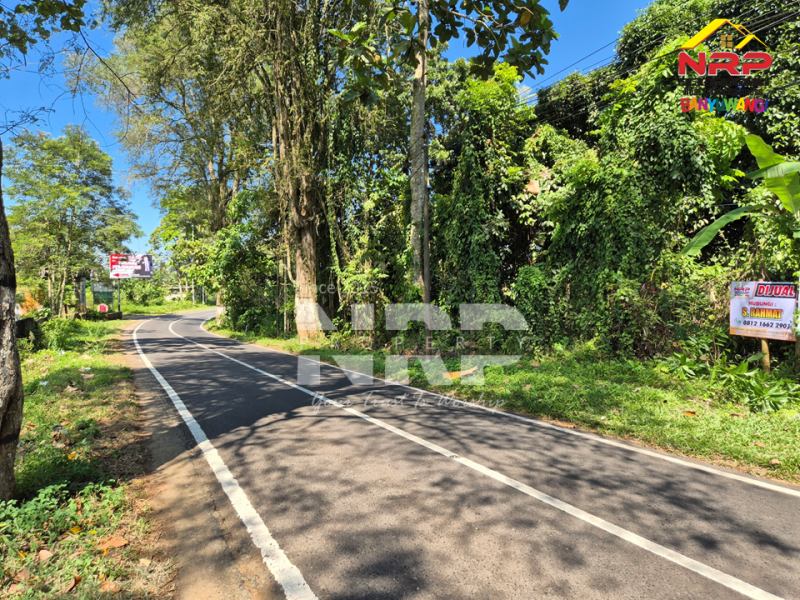 Dijual Tanah Kebun di Jln Raya Ijen - Glagah, Banyuwangi  Dijual Tanah Kebun di Jln Raya Ijen - Glagah, Banyuwangi  Dijual Tanah Kebun di Jln Raya Ijen - Glagah, Banyuwangi&nbsp;
Akses mudah Cocok untuk Usaha Perkebunan, Villa, Homestay.

LT : +/- 10.940 NRP BANYUWANGI