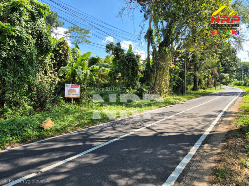 Dijual Tanah Kebun di Jln Raya Ijen - Glagah, Banyuwangi  Dijual Tanah Kebun di Jln Raya Ijen - Glagah, Banyuwangi  Dijual Tanah Kebun di Jln Raya Ijen - Glagah, Banyuwangi&nbsp;
Akses mudah Cocok untuk Usaha Perkebunan, Villa, Homestay.

LT : +/- 10.940 NRP BANYUWANGI