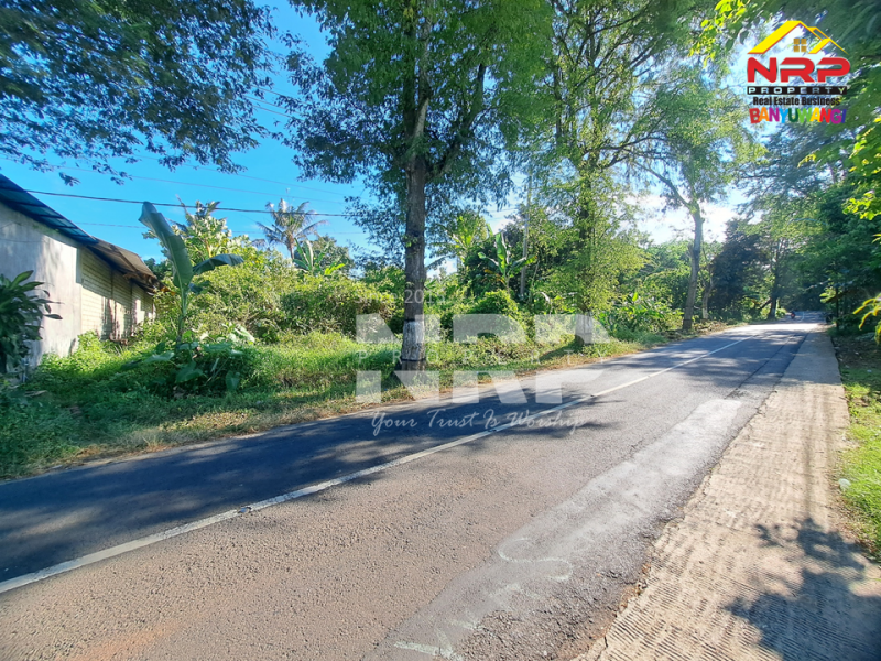 Dijual Tanah Kebun di Jln Raya Ijen - Paspan, Banyuwangi  Dijual Tanah Kebun di Jln Raya Ijen - Paspan, Banyuwangi  Dijual Tanah Kebun di Jln Raya Ijen - Paspan, Banyuwangi&nbsp;
Akses mudah Cocok untuk Usaha Perkebunan, Villa, Homestay.

LT : +/- 20.000 NRP BANYUWANGI