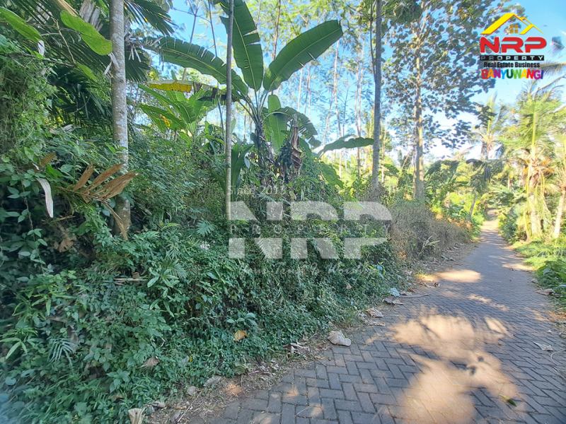 Dijual Tanah Kebun di Jln Raya Ijen - Paspan, Banyuwangi  Dijual Tanah Kebun di Jln Raya Ijen - Paspan, Banyuwangi  Dijual Tanah Kebun di Jln Raya Ijen - Paspan, Banyuwangi&nbsp;
Akses mudah Cocok untuk Usaha Perkebunan, Villa, Homestay.

LT : +/- 20.000 NRP BANYUWANGI