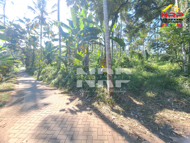 Dijual Tanah Kebun di Jln Raya Ijen - Paspan, Banyuwangi  Dijual Tanah Kebun di Jln Raya Ijen - Paspan, Banyuwangi  Dijual Tanah Kebun di Jln Raya Ijen - Paspan, Banyuwangi&nbsp;
Akses mudah Cocok untuk Usaha Perkebunan, Villa, Homestay.

LT : +/- 20.000 NRP BANYUWANGI