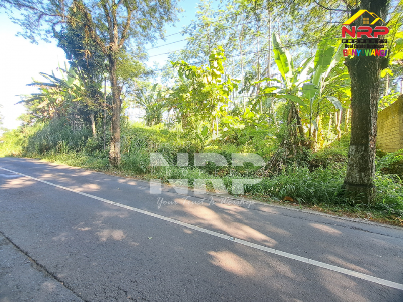 Dijual Tanah Kebun di Jln Raya Ijen - Paspan, Banyuwangi  Dijual Tanah Kebun di Jln Raya Ijen - Paspan, Banyuwangi  Dijual Tanah Kebun di Jln Raya Ijen - Paspan, Banyuwangi&nbsp;
Akses mudah Cocok untuk Usaha Perkebunan, Villa, Homestay.

LT : +/- 20.000 NRP BANYUWANGI