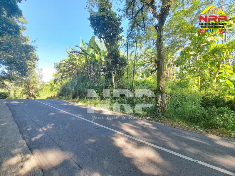 Dijual Tanah Kebun di Jln Raya Ijen - Paspan, Banyuwangi  Dijual Tanah Kebun di Jln Raya Ijen - Paspan, Banyuwangi  Dijual Tanah Kebun di Jln Raya Ijen - Paspan, Banyuwangi&nbsp;
Akses mudah Cocok untuk Usaha Perkebunan, Villa, Homestay.

LT : +/- 20.000 NRP BANYUWANGI