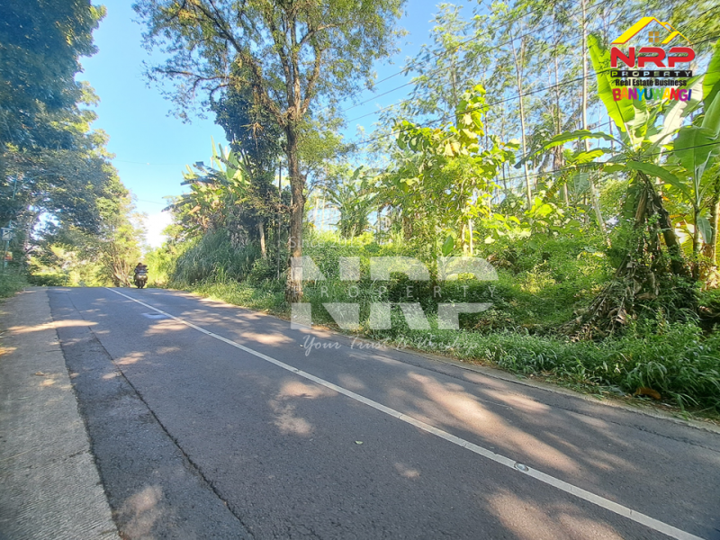 Dijual Tanah Kebun di Jln Raya Ijen - Paspan, Banyuwangi  Dijual Tanah Kebun di Jln Raya Ijen - Paspan, Banyuwangi  Dijual Tanah Kebun di Jln Raya Ijen - Paspan, Banyuwangi&nbsp;
Akses mudah Cocok untuk Usaha Perkebunan, Villa, Homestay.

LT : +/- 20.000 NRP BANYUWANGI