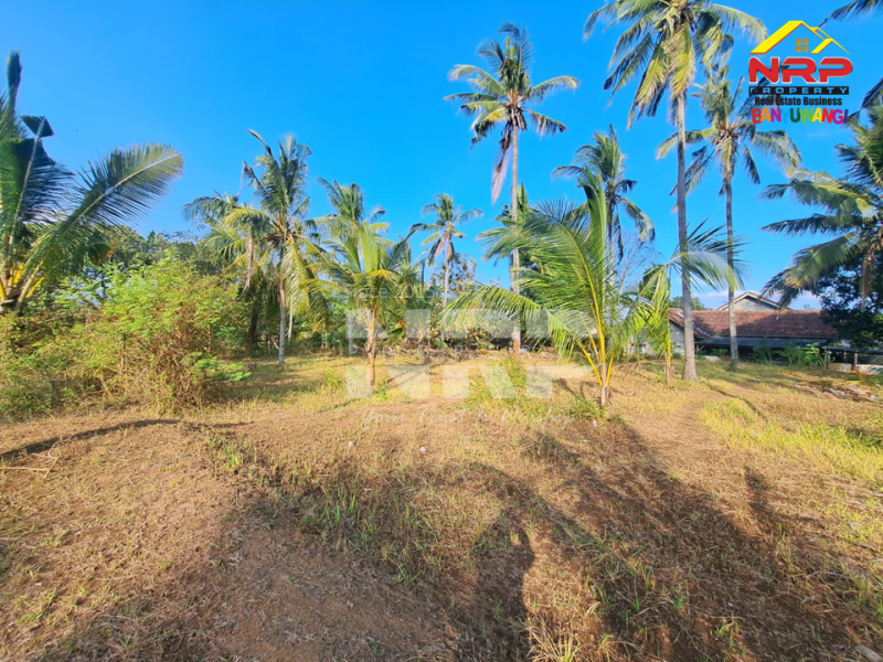 Dijual Tanah Kebun di tepi Jl. Surabaya- Kalipuro  Dijual Tanah Kebun di tepi Jl. Surabaya- Kalipuro  Dijual Tanah Kebun di tepi Jl. Surabaya- Kalipuro&nbsp;
Dekat dengan kawasan perumahan, Dekat dengan Fasilitas pendidikan dan olahraga.&nbsp;
Sangat cocok NRP BANYUWANGI