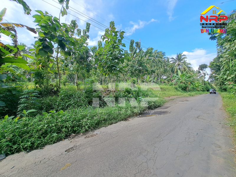 Dijual Tanah Kebun Jati ditepi Jl. Desa Kelir - Banyuwangi  Dijual Tanah Kebun Jati ditepi Jl. Desa Kelir - Banyuwangi  Dijual Tanah Kebun Jati ditepi Jl. Desa Kelir - Banyuwangi&nbsp;
Tanah kebun produktif cocok banget untuk passive income&nbsp;

Luas Tanah : 1.122 NRP BANYUWANGI