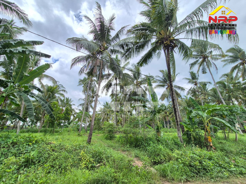 Dijual Tanah Kebun Kelapa di Jl. Macan Putih, Kabat - Banyuwangi Dijual Tanah Kebun Kelapa di Jl. Macan Putih, Kabat - Banyuwangi Dijual Tanah Kebun Kelapa di Jl. Macan Putih, Kabat - Banyuwangi&nbsp;
Cocok untuk gudang, industri maupun usaha perkebunan

Luas Tanah 7.570&nbsp; M2 NRP BANYUWANGI