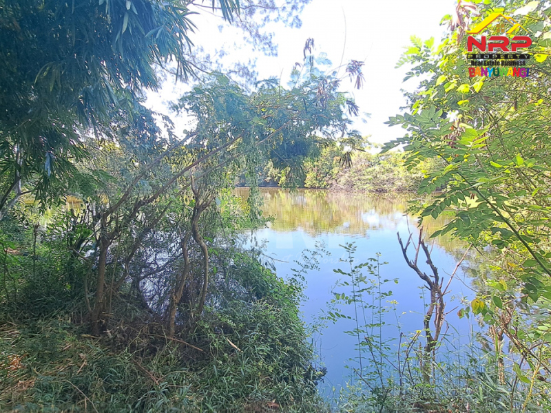 Dijual Tanah Kebun lengkap dengan kolam pancing Murah di Tengah Kota Banyuwangi  Dijual Tanah Kebun lengkap dengan kolam pancing Murah di Tengah Kota Banyuwangi  Dijual Tanah Kebun lengkap dengan kolam pancing Murah di Tengah Kota Banyuwangi&nbsp;
Terletak di Kertosari - Banyuwangi. Dekat dengan pantai gapitan dan NRP BANYUWANGI