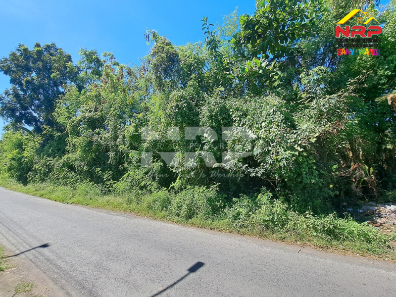 Dijual Tanah Kebun lengkap dengan kolam pancing Murah di Tengah Kota Banyuwangi  Dijual Tanah Kebun lengkap dengan kolam pancing Murah di Tengah Kota Banyuwangi  Dijual Tanah Kebun lengkap dengan kolam pancing Murah di Tengah Kota Banyuwangi&nbsp;
Terletak di Kertosari - Banyuwangi. Dekat dengan pantai gapitan dan NRP BANYUWANGI