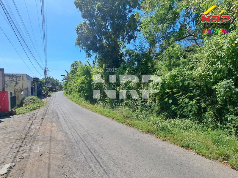 Dijual Tanah Kebun lengkap dengan kolam pancing Murah di Tengah Kota Banyuwangi  Dijual Tanah Kebun lengkap dengan kolam pancing Murah di Tengah Kota Banyuwangi  Dijual Tanah Kebun lengkap dengan kolam pancing Murah di Tengah Kota Banyuwangi&nbsp;
Terletak di Kertosari - Banyuwangi. Dekat dengan pantai gapitan dan NRP BANYUWANGI