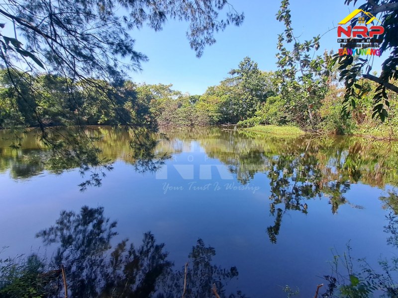 Dijual Tanah Kebun lengkap dengan kolam pancing Murah di Tengah Kota Banyuwangi  Dijual Tanah Kebun lengkap dengan kolam pancing Murah di Tengah Kota Banyuwangi  Dijual Tanah Kebun lengkap dengan kolam pancing Murah di Tengah Kota Banyuwangi&nbsp;
Terletak di Kertosari - Banyuwangi. Dekat dengan pantai gapitan dan NRP BANYUWANGI