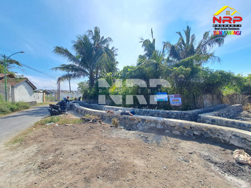 Dijual Tanah Kebun lengkap dengan Tambak Murah di Tengah Kota Banyuwangi  Dijual tanah dekat pantai di  banyuwangi kota  Dijual Tanah Kebun lengkap dengan Tambak Murah di Tengah Kota Banyuwangi&nbsp;
Terletak di Kertosari - Banyuwangi. Dekat dengan pantai gapitan dan wonosari NRP BANYUWANGI