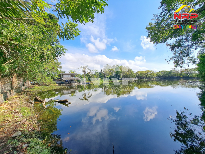 Dijual Tanah Kebun lengkap dengan Tambak Murah di Tengah Kota Banyuwangi  Dijual tanah dekat pantai di  banyuwangi kota  Dijual Tanah Kebun lengkap dengan Tambak Murah di Tengah Kota Banyuwangi&nbsp;
Terletak di Kertosari - Banyuwangi. Dekat dengan pantai gapitan dan wonosari NRP BANYUWANGI