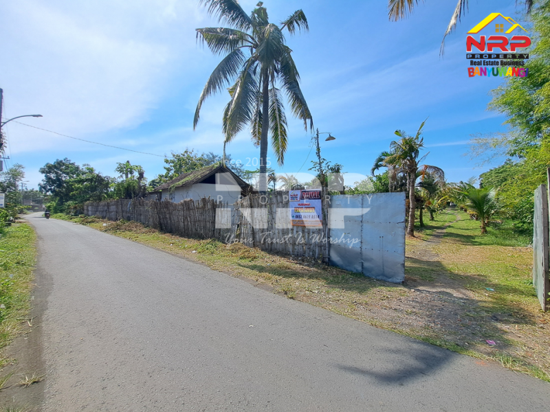 Dijual Tanah Kebun lengkap dengan Tambak Murah di Tengah Kota Banyuwangi  Dijual tanah dekat pantai di  banyuwangi kota  Dijual Tanah Kebun lengkap dengan Tambak Murah di Tengah Kota Banyuwangi&nbsp;
Terletak di Kertosari - Banyuwangi. Dekat dengan pantai gapitan dan wonosari NRP BANYUWANGI