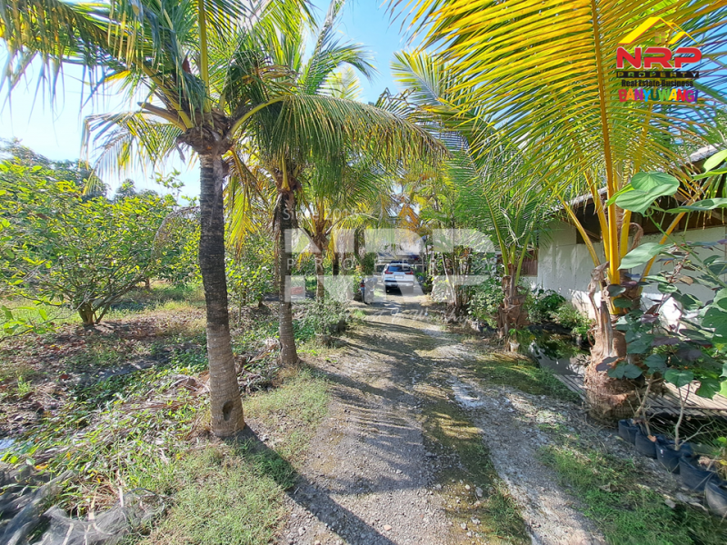 Dijual Tanah Kebun lengkap dengan Tambak Murah di Tengah Kota Banyuwangi  Dijual tanah dekat pantai di  banyuwangi kota  Dijual Tanah Kebun lengkap dengan Tambak Murah di Tengah Kota Banyuwangi&nbsp;
Terletak di Kertosari - Banyuwangi. Dekat dengan pantai gapitan dan wonosari NRP BANYUWANGI