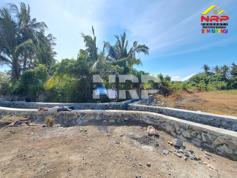 Dijual Tanah Kebun lengkap dengan Tambak Murah di Tengah Kota Banyuwangi  Dijual tanah tambak di dekat pantai banyuwangi kota  Dijual Tanah Kebun lengkap dengan Tambak Murah di Tengah Kota Banyuwangi&nbsp;
Terletak di Kertosari - Banyuwangi. Dekat dengan pantai gapitan dan wonosari NRP BANYUWANGI