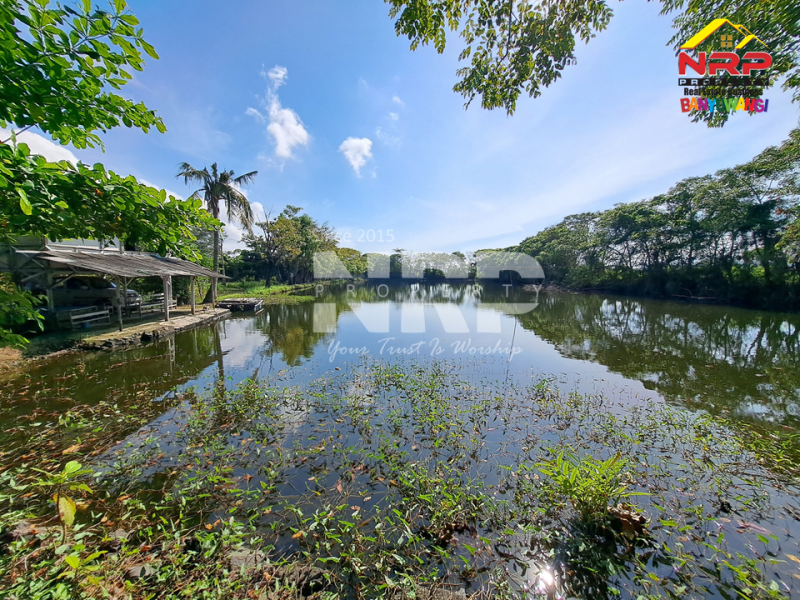 Dijual Tanah Kebun lengkap dengan Tambak Murah di Tengah Kota Banyuwangi  Dijual tanah tambak di dekat pantai banyuwangi kota  Dijual Tanah Kebun lengkap dengan Tambak Murah di Tengah Kota Banyuwangi&nbsp;
Terletak di Kertosari - Banyuwangi. Dekat dengan pantai gapitan dan wonosari NRP BANYUWANGI