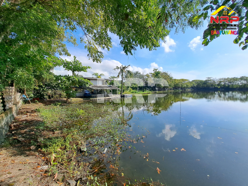 Dijual Tanah Kebun lengkap dengan Tambak Murah di Tengah Kota Banyuwangi  Dijual tanah dekat pantai di  banyuwangi kota  Dijual Tanah Kebun lengkap dengan Tambak Murah di Tengah Kota Banyuwangi&nbsp;
Terletak di Kertosari - Banyuwangi. Dekat dengan pantai gapitan dan wonosari NRP BANYUWANGI